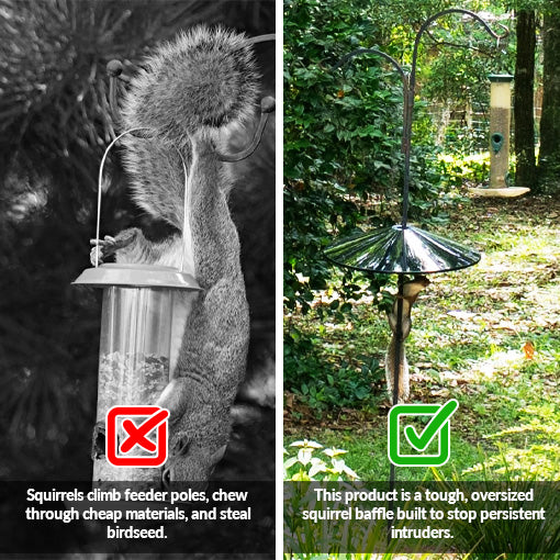 Squirrel Baffle