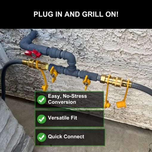 Propane to Natural Gas Conversion Kit