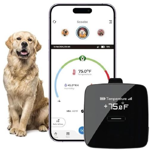 RV Pet Safety Temperature Monitor