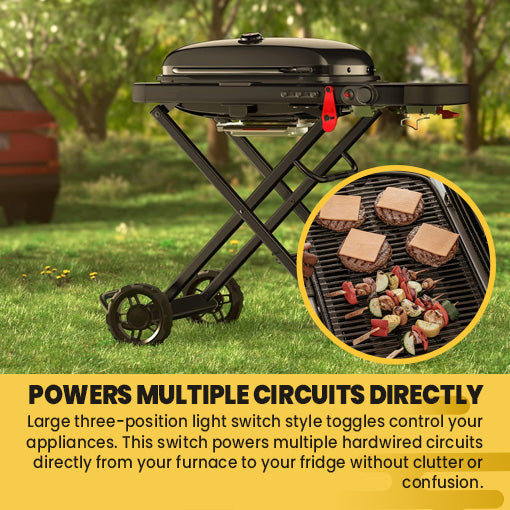 Traveler Compact Portable Gas Grill